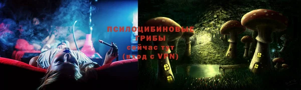 СК Абаза